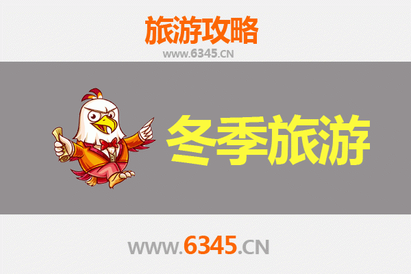 河源连平冬季旅游攻略：赏万亩花海，品客韵风情